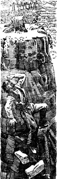 Иллюстрация к книге — Затерянный мир [_08.jpg]