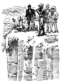 Иллюстрация к книге — Затерянный мир [_09.jpg]