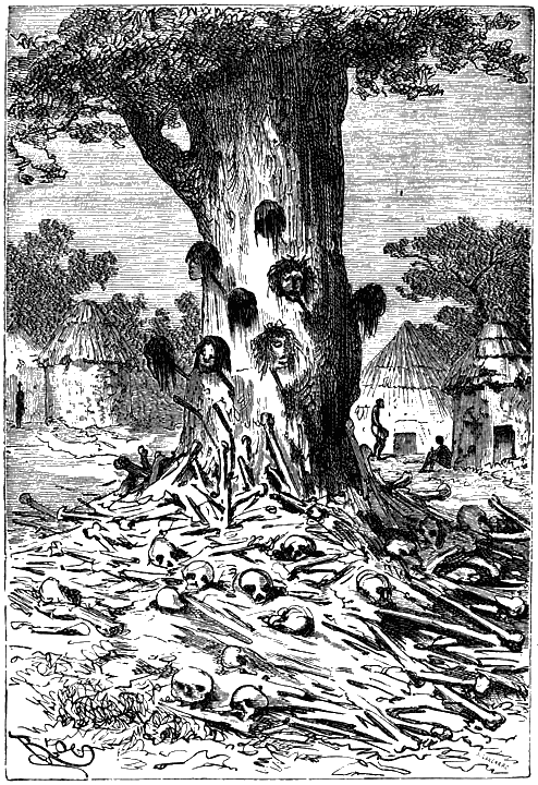 Иллюстрация к книге — Пять недель на воздушном шаре [p113.png]