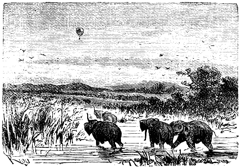 Иллюстрация к книге — Пять недель на воздушном шаре [p162.png]