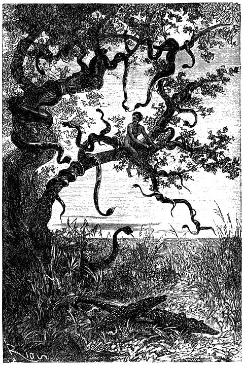 Иллюстрация к книге — Пять недель на воздушном шаре [p197.png]