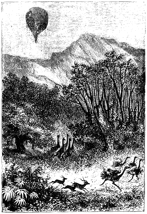 Иллюстрация к книге — Пять недель на воздушном шаре [p209.png]