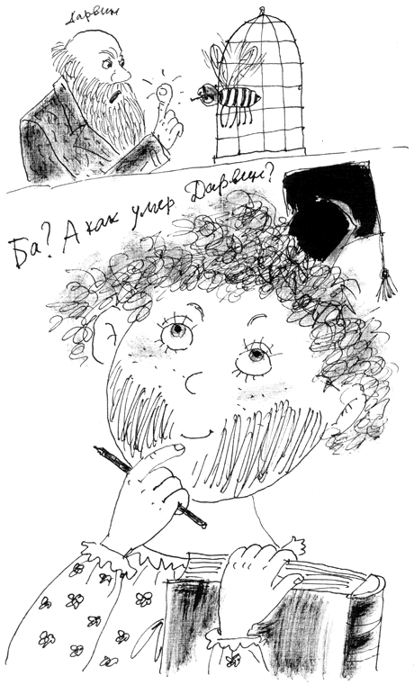 Иллюстрация к книге — Манюня, юбилей Ба и прочие треволнения [i_001.png]