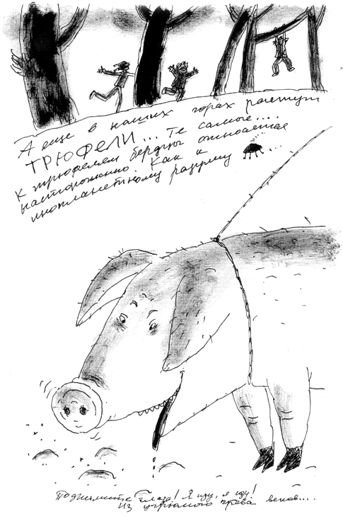 Иллюстрация к книге — Манюня, юбилей Ба и прочие треволнения [i_013.png]