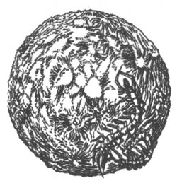 Иллюстрация к книге — Дом на краю ночи [_pic04.jpg]