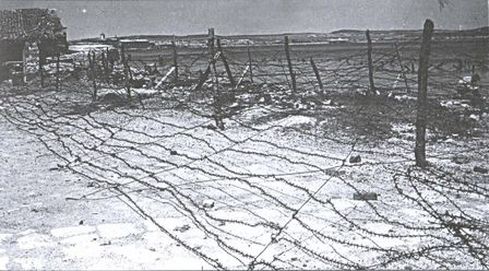 Иллюстрация к книге — Большой десант. Керченско-Эльтигенская операция [i_045.jpg]