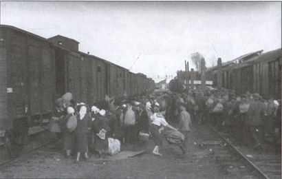 Иллюстрация к книге — Вермахт и оккупация [i_030.jpg]