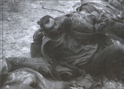 Иллюстрация к книге — Вермахт и оккупация [i_035.jpg]