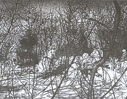 Иллюстрация к книге — Дважды невидимый фронт. Ленинградские чекисты в тылу врага [i_013.jpg]