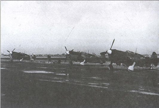 Иллюстрация к книге — Советские ВВС против кригсмарине [i_050.jpg]