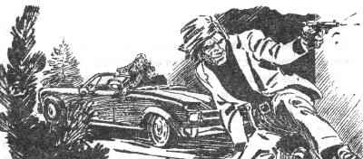 Иллюстрация к книге — Хозяин Судьбы [i_006.jpg]