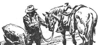 Иллюстрация к книге — Хозяин Судьбы [i_013.jpg]