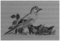 Иллюстрация к книге — Чернильная смерть [i_023.jpg]