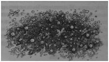 Иллюстрация к книге — Чернильная смерть [i_034.jpg]