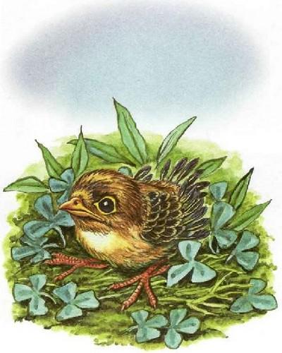 Иллюстрация к книге — Как подружились Пузик и Тузик [img_67.jpg]