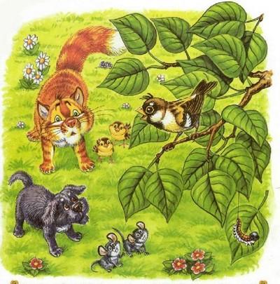 Иллюстрация к книге — Как подружились Пузик и Тузик [img_89.jpg]