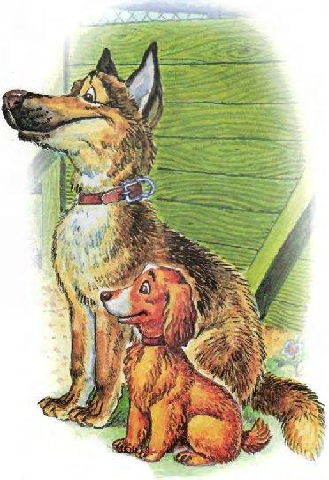 Иллюстрация к книге — Пузик и Тузик идут по следу [img_2.jpg]