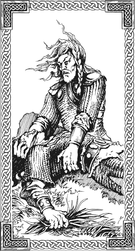 Иллюстрация к книге — Ведьмина звезда. Дракон Памяти [g10.png]