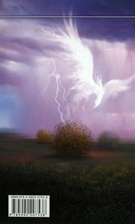 Иллюстрация к книге — Похищение [i_004.jpg]