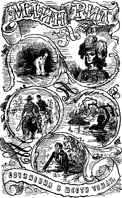 Иллюстрация к книге — Оцеола, вождь семинолов. Морской волчонок, или Путешествие на дне трюма [i_002.png]