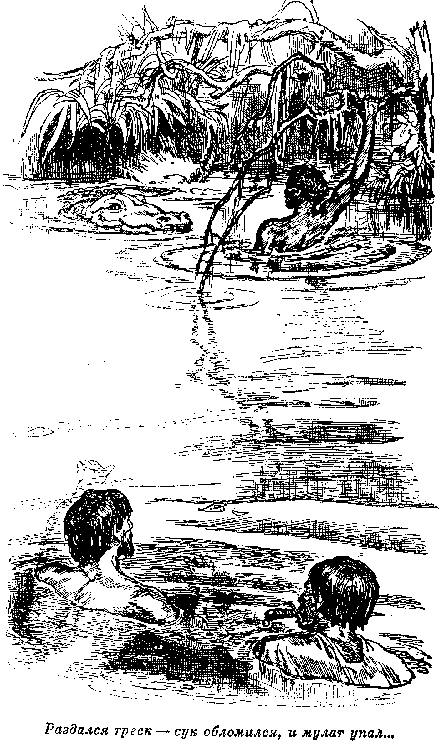 Иллюстрация к книге — Оцеола, вождь семинолов. Морской волчонок, или Путешествие на дне трюма [i_010.png]