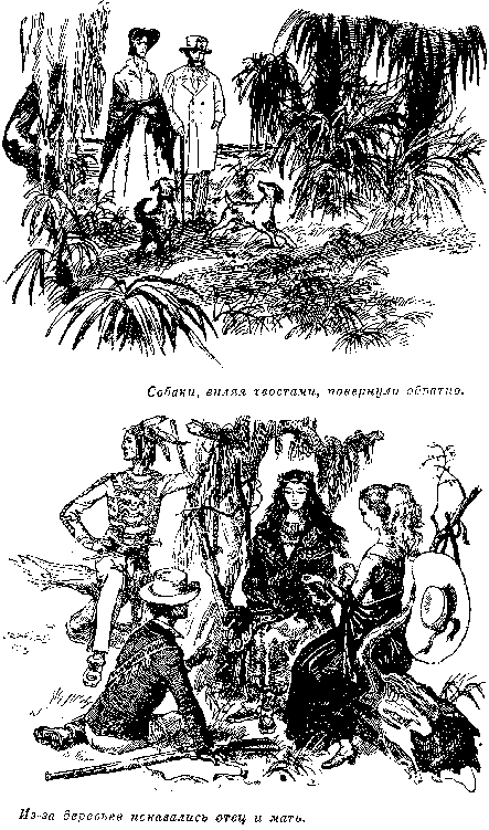 Иллюстрация к книге — Оцеола, вождь семинолов. Морской волчонок, или Путешествие на дне трюма [i_012.png]