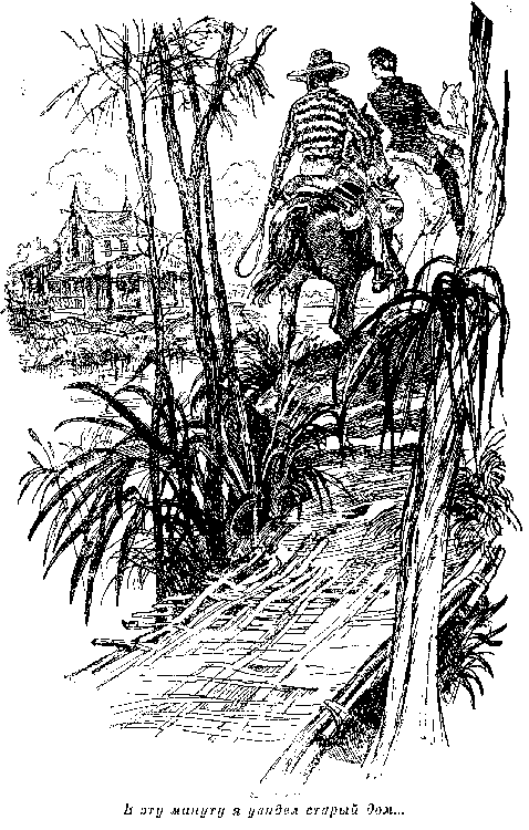 Иллюстрация к книге — Оцеола, вождь семинолов. Морской волчонок, или Путешествие на дне трюма [i_013.png]