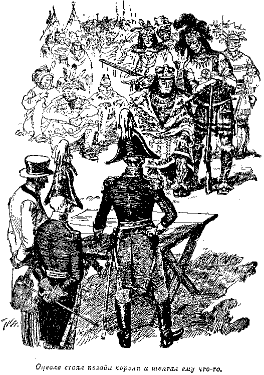 Иллюстрация к книге — Оцеола, вождь семинолов. Морской волчонок, или Путешествие на дне трюма [i_015.png]