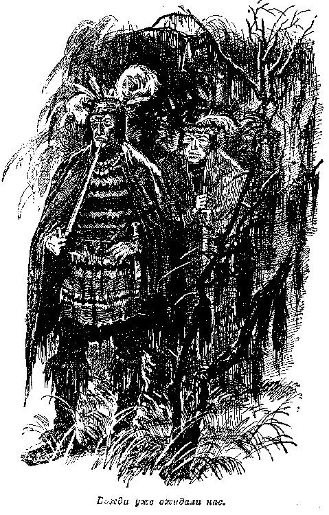 Иллюстрация к книге — Оцеола, вождь семинолов. Морской волчонок, или Путешествие на дне трюма [i_016.png]