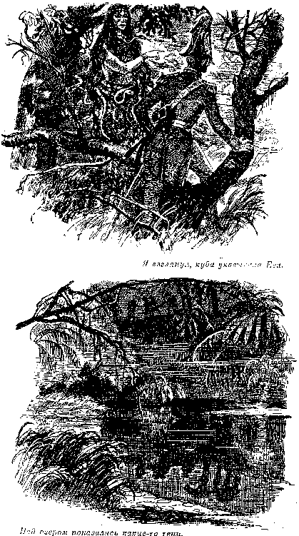 Иллюстрация к книге — Оцеола, вождь семинолов. Морской волчонок, или Путешествие на дне трюма [i_017.png]