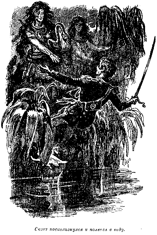 Иллюстрация к книге — Оцеола, вождь семинолов. Морской волчонок, или Путешествие на дне трюма [i_020.png]