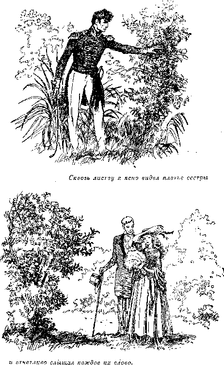 Иллюстрация к книге — Оцеола, вождь семинолов. Морской волчонок, или Путешествие на дне трюма [i_022.png]