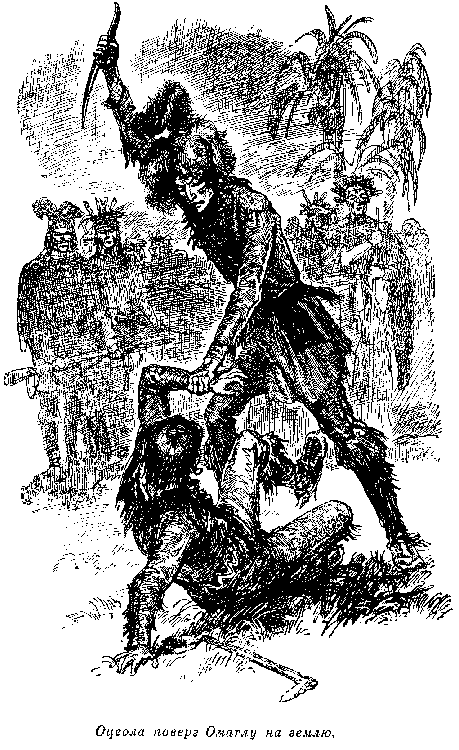 Иллюстрация к книге — Оцеола, вождь семинолов. Морской волчонок, или Путешествие на дне трюма [i_023.png]