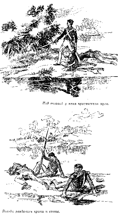 Иллюстрация к книге — Оцеола, вождь семинолов. Морской волчонок, или Путешествие на дне трюма [i_024.png]