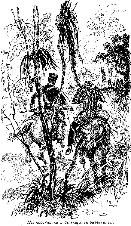 Иллюстрация к книге — Оцеола, вождь семинолов. Морской волчонок, или Путешествие на дне трюма [i_025.png]