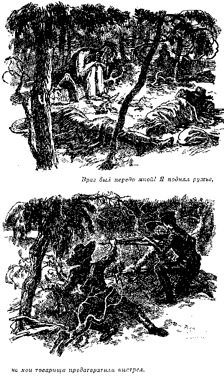 Иллюстрация к книге — Оцеола, вождь семинолов. Морской волчонок, или Путешествие на дне трюма [i_026.png]