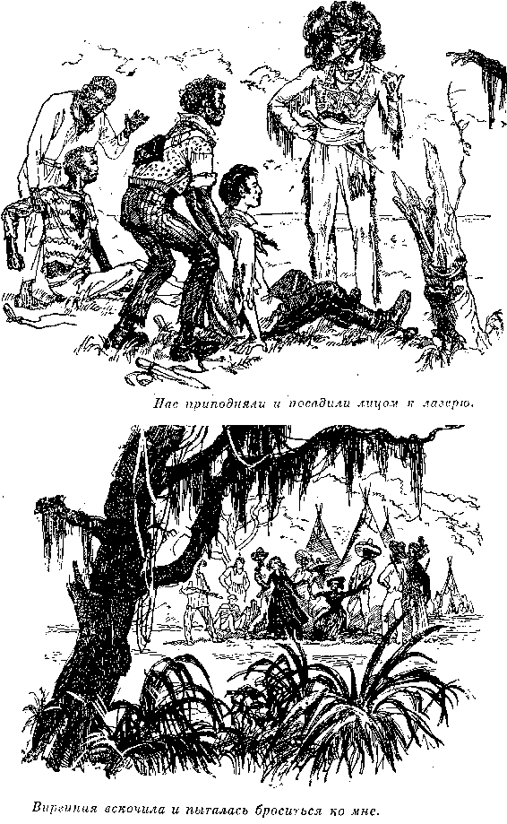 Иллюстрация к книге — Оцеола, вождь семинолов. Морской волчонок, или Путешествие на дне трюма [i_028.png]