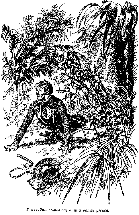 Иллюстрация к книге — Оцеола, вождь семинолов. Морской волчонок, или Путешествие на дне трюма [i_029.png]