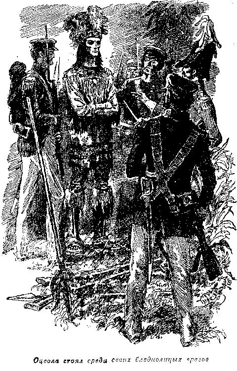 Иллюстрация к книге — Оцеола, вождь семинолов. Морской волчонок, или Путешествие на дне трюма [i_030.png]