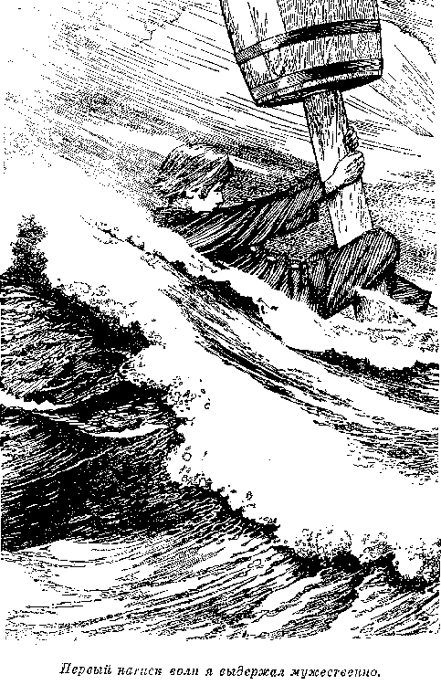 Иллюстрация к книге — Оцеола, вождь семинолов. Морской волчонок, или Путешествие на дне трюма [i_037.png]