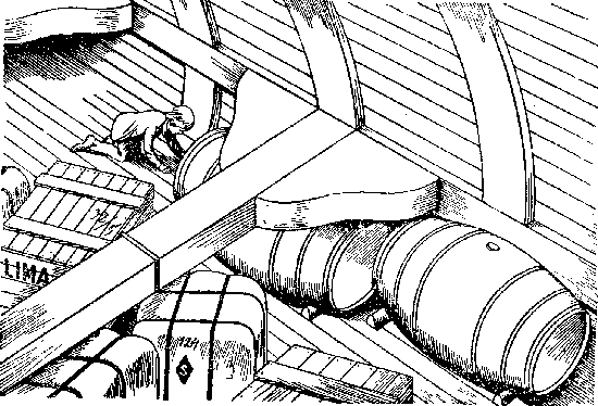 Иллюстрация к книге — Оцеола, вождь семинолов. Морской волчонок, или Путешествие на дне трюма [i_039.png]