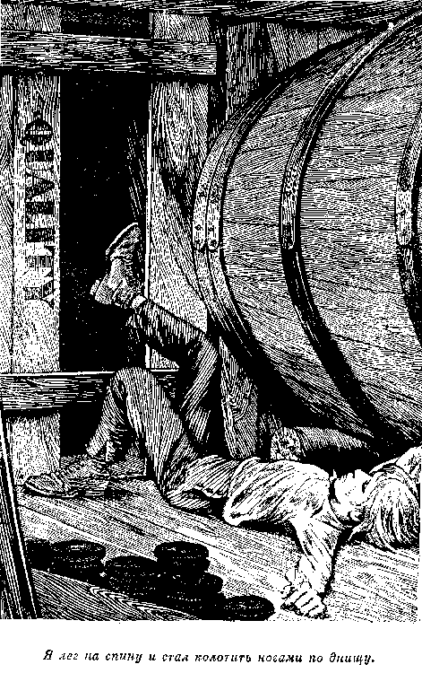 Иллюстрация к книге — Оцеола, вождь семинолов. Морской волчонок, или Путешествие на дне трюма [i_042.png]