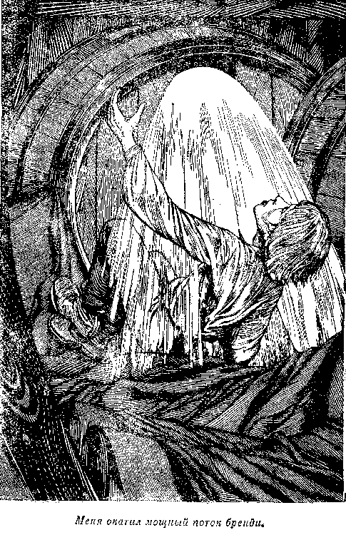 Иллюстрация к книге — Оцеола, вождь семинолов. Морской волчонок, или Путешествие на дне трюма [i_050.png]