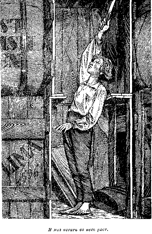 Иллюстрация к книге — Оцеола, вождь семинолов. Морской волчонок, или Путешествие на дне трюма [i_051.png]