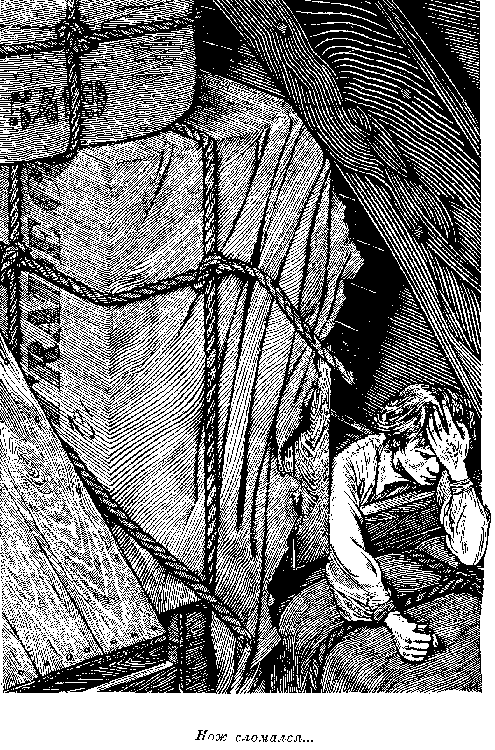 Иллюстрация к книге — Оцеола, вождь семинолов. Морской волчонок, или Путешествие на дне трюма [i_052.png]