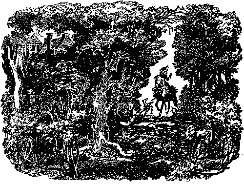 Иллюстрация к книге — Белая перчатка. В дебрях Борнео. В поисках белого бизона [i_006.png]