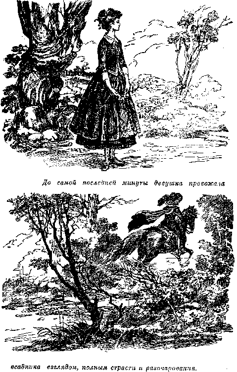 Иллюстрация к книге — Белая перчатка. В дебрях Борнео. В поисках белого бизона [i_007.png]