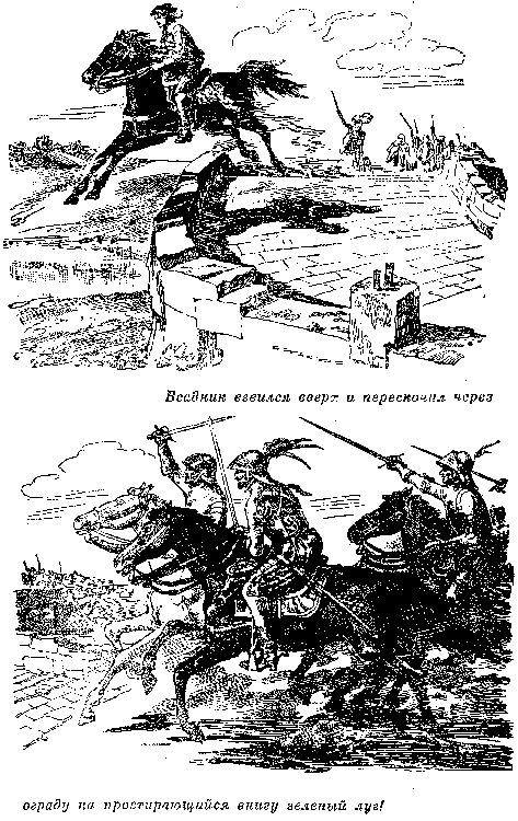 Иллюстрация к книге — Белая перчатка. В дебрях Борнео. В поисках белого бизона [i_020.png]