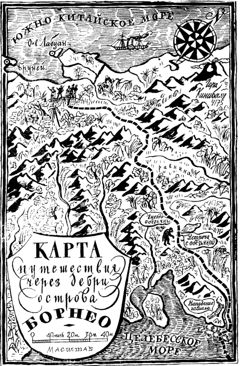 Иллюстрация к книге — Белая перчатка. В дебрях Борнео. В поисках белого бизона [i_027.png]