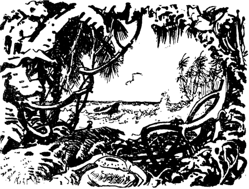 Иллюстрация к книге — Белая перчатка. В дебрях Борнео. В поисках белого бизона [i_028.png]